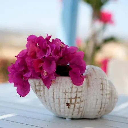 White Cliff Villas * Naousa (Paros)